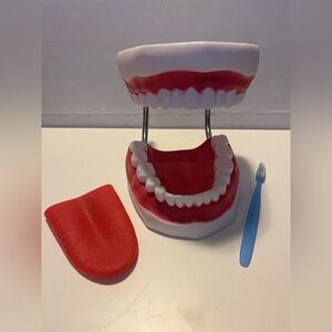 Ultrassist Mouth Model with Silicone Tongue